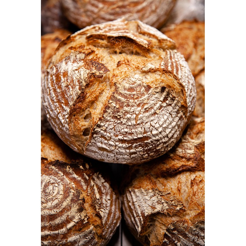 Fox Run Bread Lame Stainless Steel Scoring Knife With 15