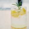TALCUFON Freshly Squeezed Lemon Powder 10 Oz, Just Cold Pressed,