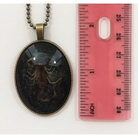 Unbranded Victorian Scorpion Necklace Gothic Jewelry Pendant Vintage Taxidermy Gifts