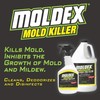 Moldex Moldex 5010 Mold Killer Spray, 32 oz