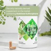 Mara Labs Broc Elite Plus | Broccoli Supplement w/Stabilized Sulforaphane
