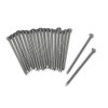 3B Scientific U8497331 Melt Experiment Nails (Pack of 20)