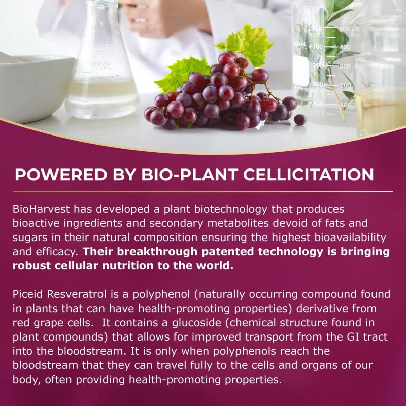 Vinia Resveratrol Piceid De Absorcin Rpida De Liberacin S