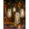 ST40 10 Pack Edison LED Light Bulbs, 0.6W E17 Screw