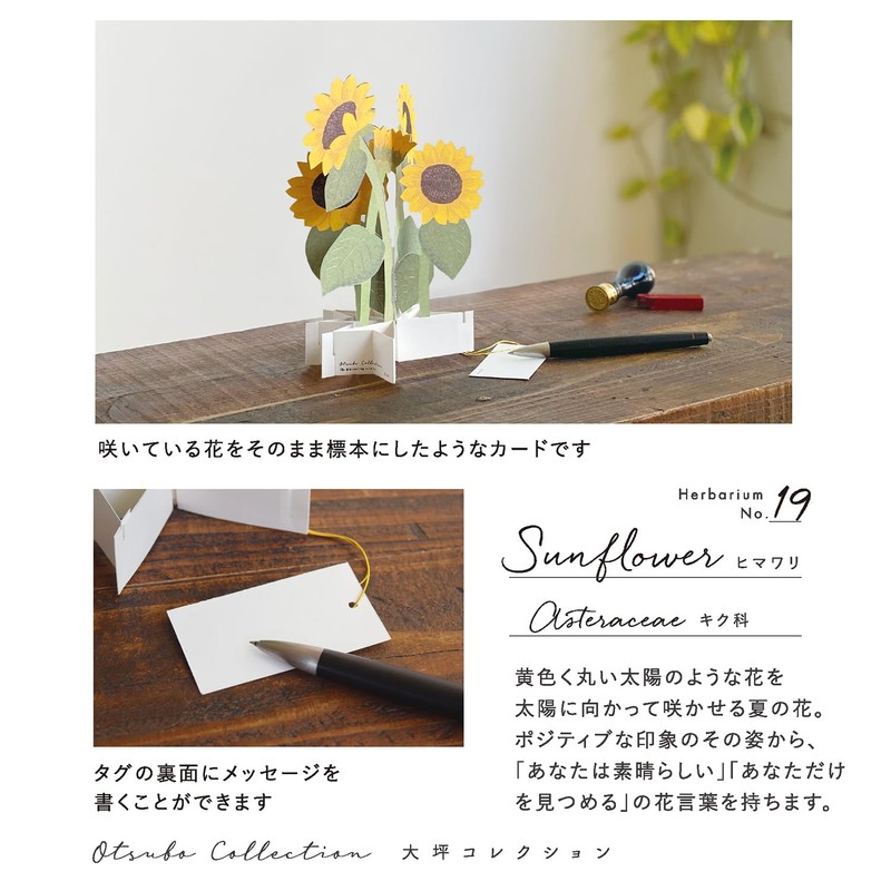 greeting life summer summer card blooming sunflower KE-50 yellow