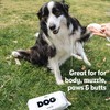 DOG by Dr. Lisa - Dog Wipes - Plant-Based, Natural