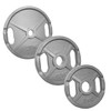 POWER EXTREME Cast Iron Weight Plates with 2 Grip Holes,