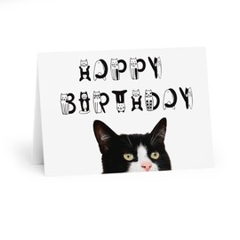 Black and White Cat Happy Birthday Card - Playful Cat Lettering, Special Birthday Wishes for Cat Lovers, Blank Inside for a Personal Touch
