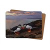 Julian Friers Puffins Beak Bashing Large Table Mats by Wildlife
