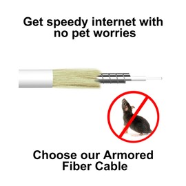 VANDESAIL SC to SC Fiber Optic Internet Cable OS2, Armored (Angled Physical Contact) Single Mode Fiber Patch Cable with 2 Couplers, OS1 Compatible for Data Centers, LSZH White - 10M(32.8FT)