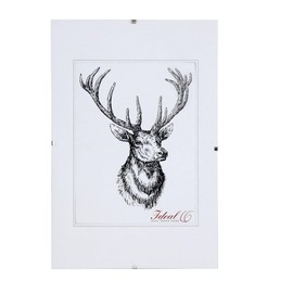 IDEAL TREND RX Frameless Picture Holder Clip Frame Photo Frame Plastic Glass Size: 10 x 15 cm