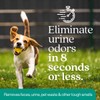 Eco Strong Outdoor Odor Eliminator Outside Dog Urine Enzyme Cleaner