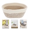 Closet Storage Bins Imitation Rattan Basket Cotton Rope Storage Plant