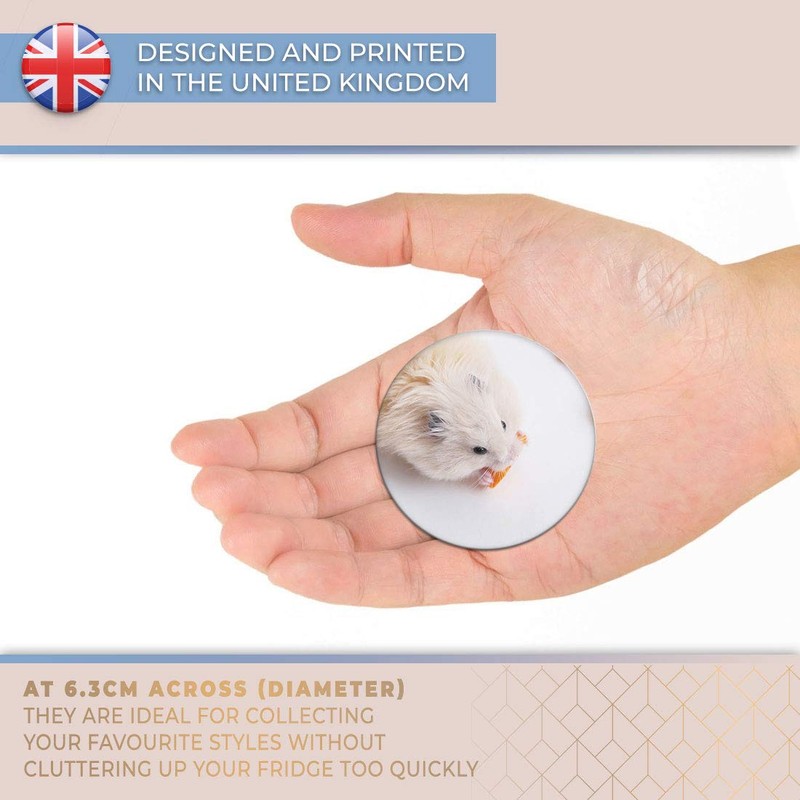 Destination Vinyl ltd Magnet for Refrigerator, Fridge - Cute Hamster