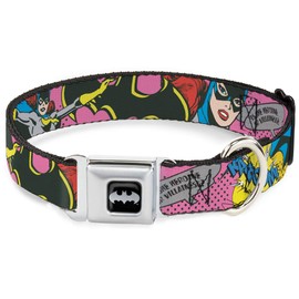 Buckle-Down Seatbelt Buckle Dog Collar - BATGIRL-IS SHE HERO OR VILLAIN? w/Batgirl in Action - 1" Wide - Fits 11-17" Neck - Medium