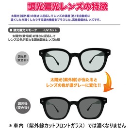 OTC.web 2446HC Polarized Dimming Round Boston Sunglasses, Men's, Large Size, Stylish, UV Protection, Darkening Color, Round Round Glasses, C-62DBR/GL