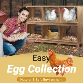 Neoaider Nesting Boxes for Chickens 6 Compartment, Wall-Mounted Wooden Chicken Nesting Box, Ensuring Comfortable Egg Laying, Preventing Egg Falls, Perfect for Backyard and Poultry Farms
