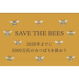 NEAL'S YARD REMEDIES Lovely Hand Wash, 9.6 fl oz (295 ml)