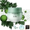 HANYUL Pure Artemisia Watery Calming Cream 55ml