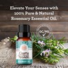 GuruNanda Rosemary Essential Oil - 100% Pure & Natural, Undiluted,