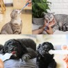 onebarleycorn Tablets Cat Entry Aid Tablet Cat Syringe Dog Tablets
