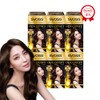 Saios Oleo Cream Gray Cover Hair Dye 5N Cocoa Brown 100g, 4 pcs / 사이오스 올레오크림 새치커버 염색약 5N 코코아브라운 100g, 4개