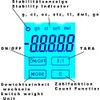 G&G TSB 500g/0.01g Pocket Scales Precision Digital Scales Gold Scales