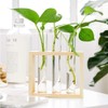 Samcos Test Tube PS Plastic Container Set of 10 with