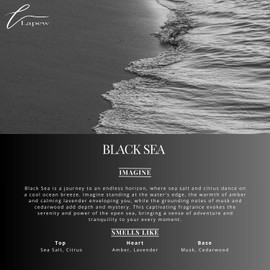 LaPew Black Sea Bundle – Carpet Deodorizer Powder & Scented Mop Soap Set – Odor Eliminator for Pet-Friendly Homes (Deep Sea Fragrance)