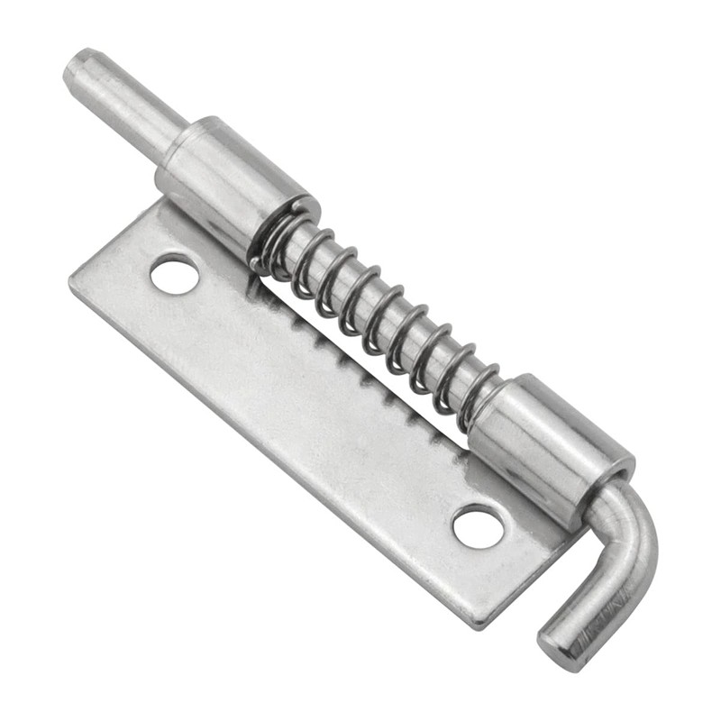 DGHAOP 2pcs 304 Stainless Steel Flat Pin Hinge Spring Latch