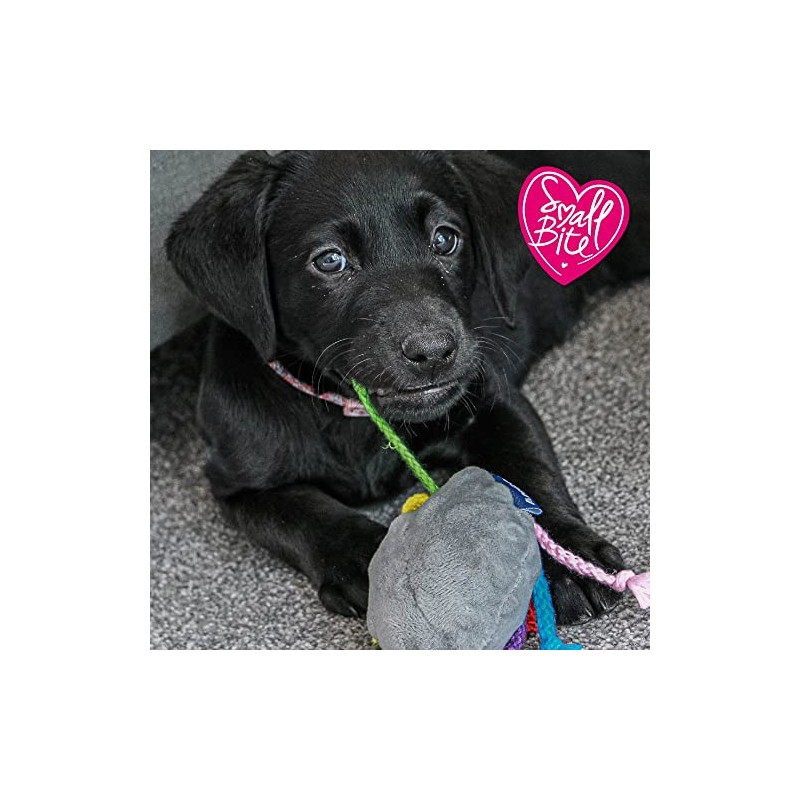 Ancol Small Bite Puppy Toy Octopus