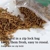 Euchirus Non-GMO High-Protein Large Dried Black Soldier Fly Larva for