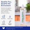 THE CLEAN PEOPLE Liquid Dish Soap - Clean, Simple Ingredients