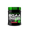Scitec Nutrition BCAA + Glutamine Xpress – Essential Amino Acid