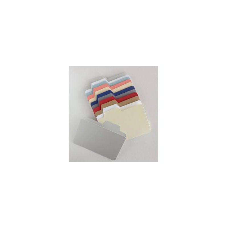 20 Mini File Folders: 5 inches x 3.75 inches -