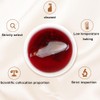 Sour plum soup bag tea 8.81oz Instant drink Sour sweet