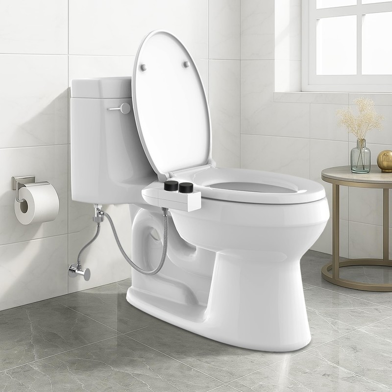 Terapaton Toilet Bidet With Left/Right Side Reversible Design, Fresh Water,