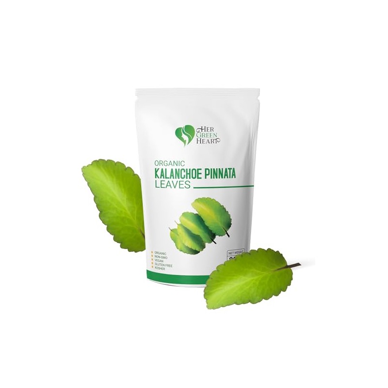 Kalanchoe Pinnata Leaves Herbal tea - 100% Pure, Dried Leaves