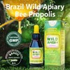 Bee Propolis Liquid Extract 85% Non Alcohol - 5 Bottles