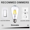 LUXON LED Edison Bulb Dimmable Vintage Style Light Bulbs 6W