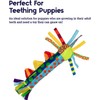 Dog Toy Pet Stages Cool Teething Stick
