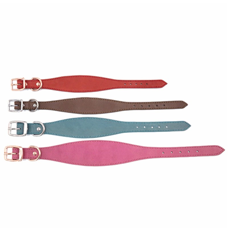 BHFYOB Leathers Soft Padded Whippet Salukis Greyhound Adjustable Collar Large