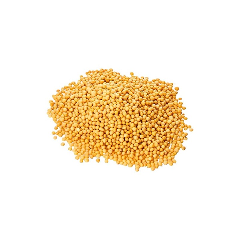 Old India Mustard Seeds Yellow Whole 750 g