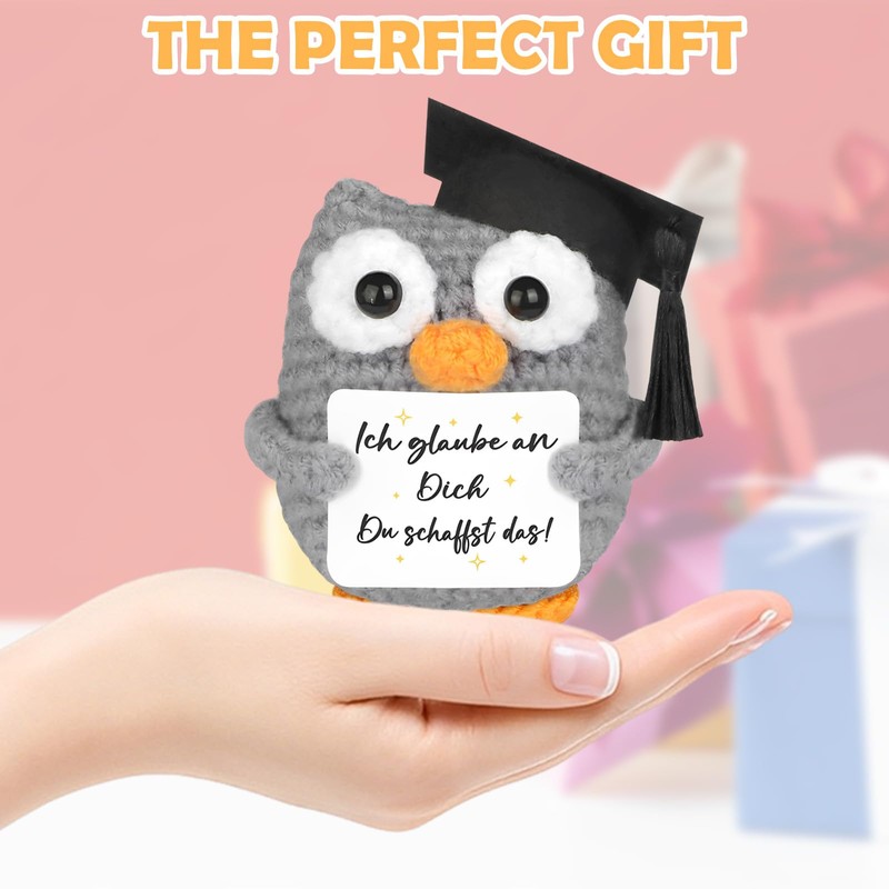 LIURFLNC Lucky Charm Exam - Hand Knitted Owl as an