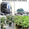 Hydroponic Grow Room Scrog Net Trellis Net for Plants 80