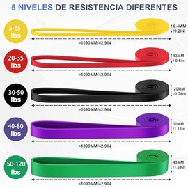 5PCS Bandas de Resistencia, Bandas Elásticas de TPE, Bandas de Resistencia Fuertes con 1 Anclaje de Puerta, 2 Asas, 2 Ganchos y Bolsa de Transporte, Adecuadas para Dominadas, Anillas y Crossfit