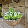Best Artificial Mini Daffodil Display in 10 inch Woven Decorative