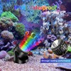 POPOSOAP Pond Lights with Timer, RGB Colors Underwater Pond Lights