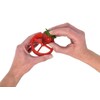 Fusionbrands PushBerry 2-in-1, One Step Kid-Friendly Strawberry Stem Removal, Hull,