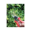 Faithfull FAICOUBYPRO8 Countryman Professional Bypass Secateurs - 215mm (8in)